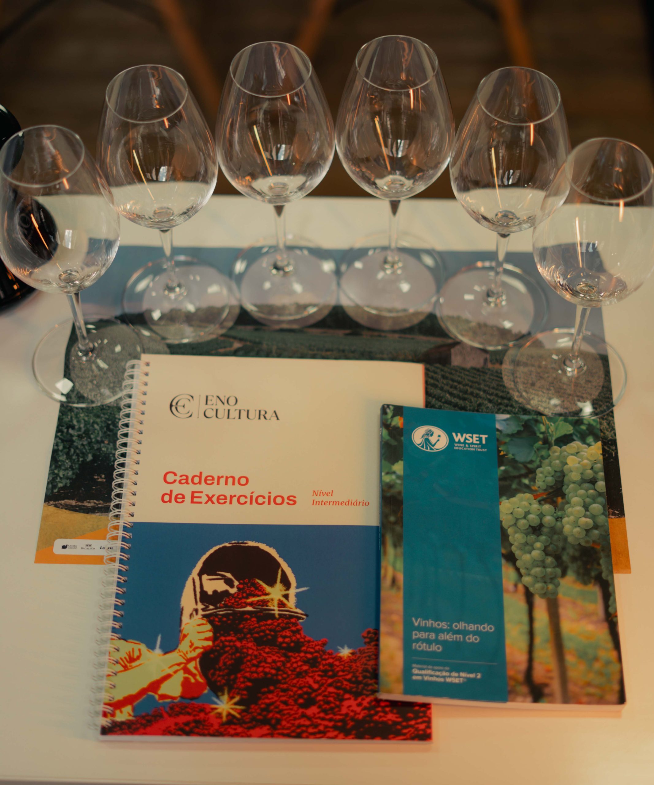 WSET | Nível 2 | Híbrido - Imagem 2