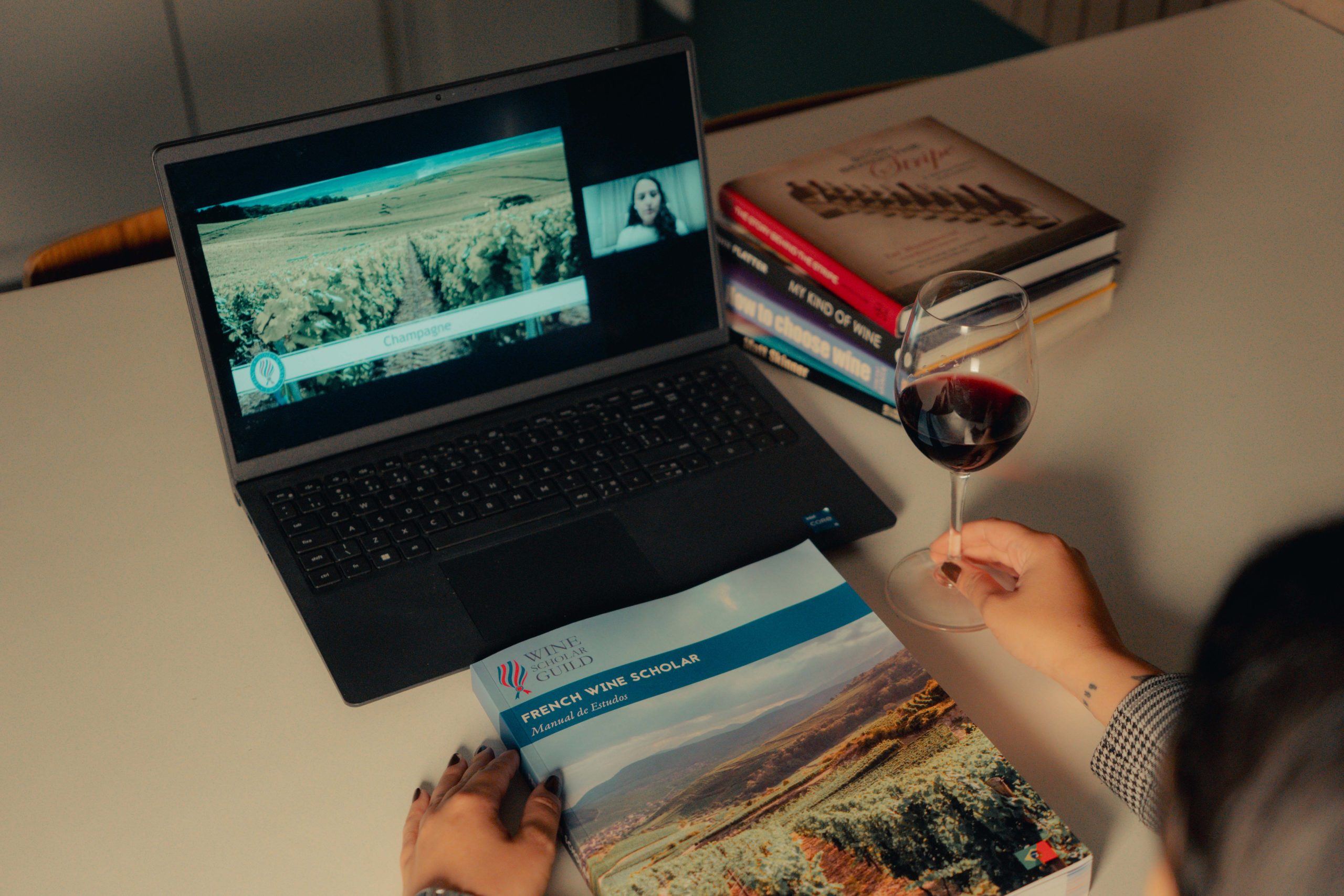 French Wine Scholar | Híbrido - Imagem 3