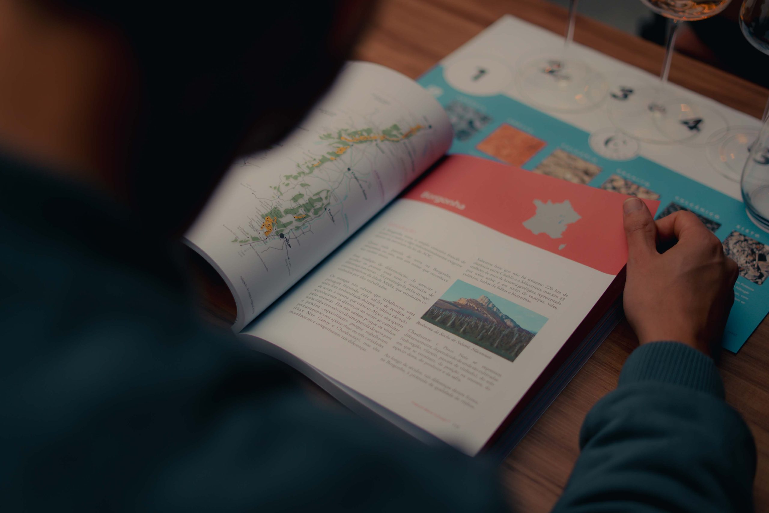 French Wine Scholar | Híbrido - Imagem 2