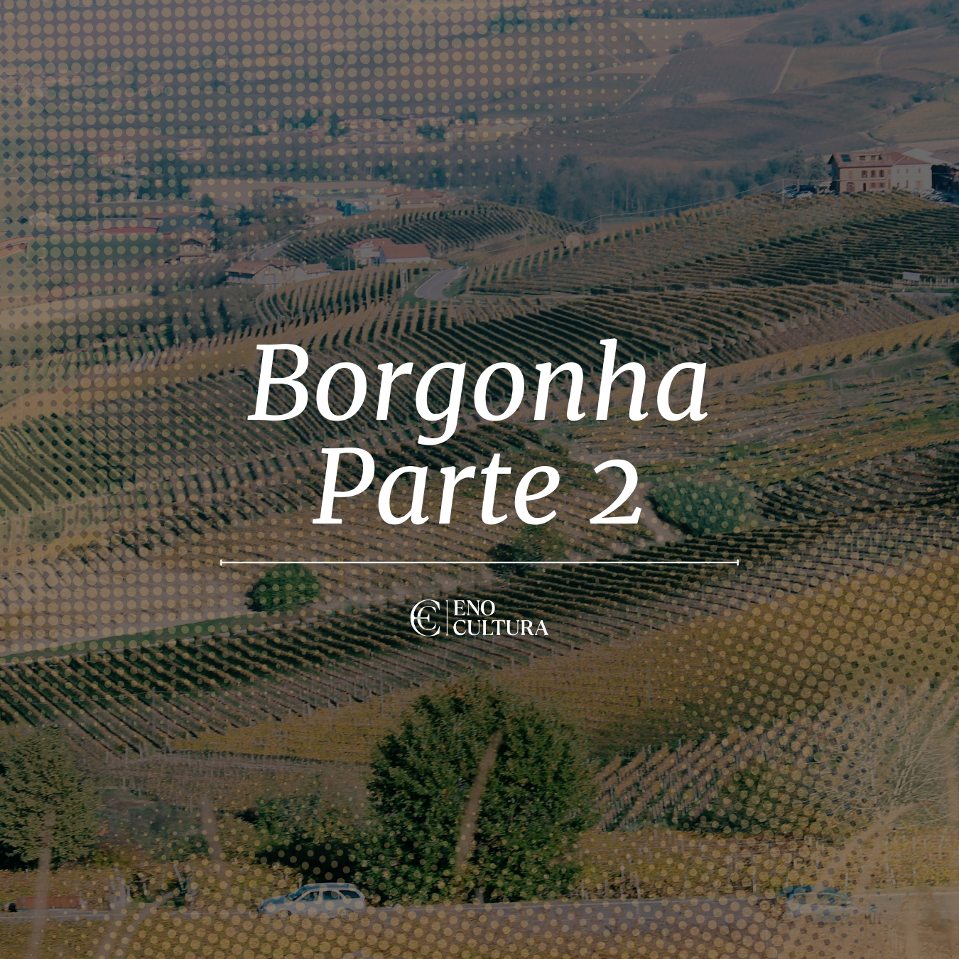 Borgonha Parte 2 | Curso Online