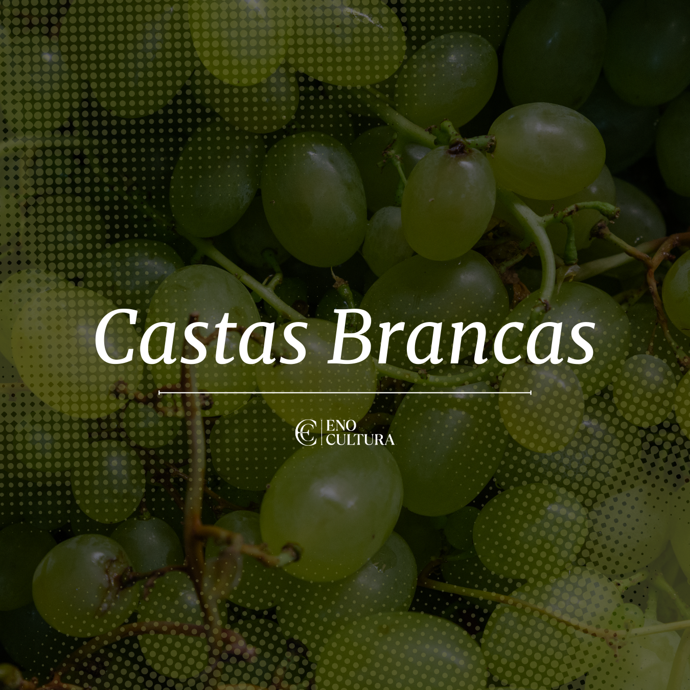 Castas Brancas | Curso Online