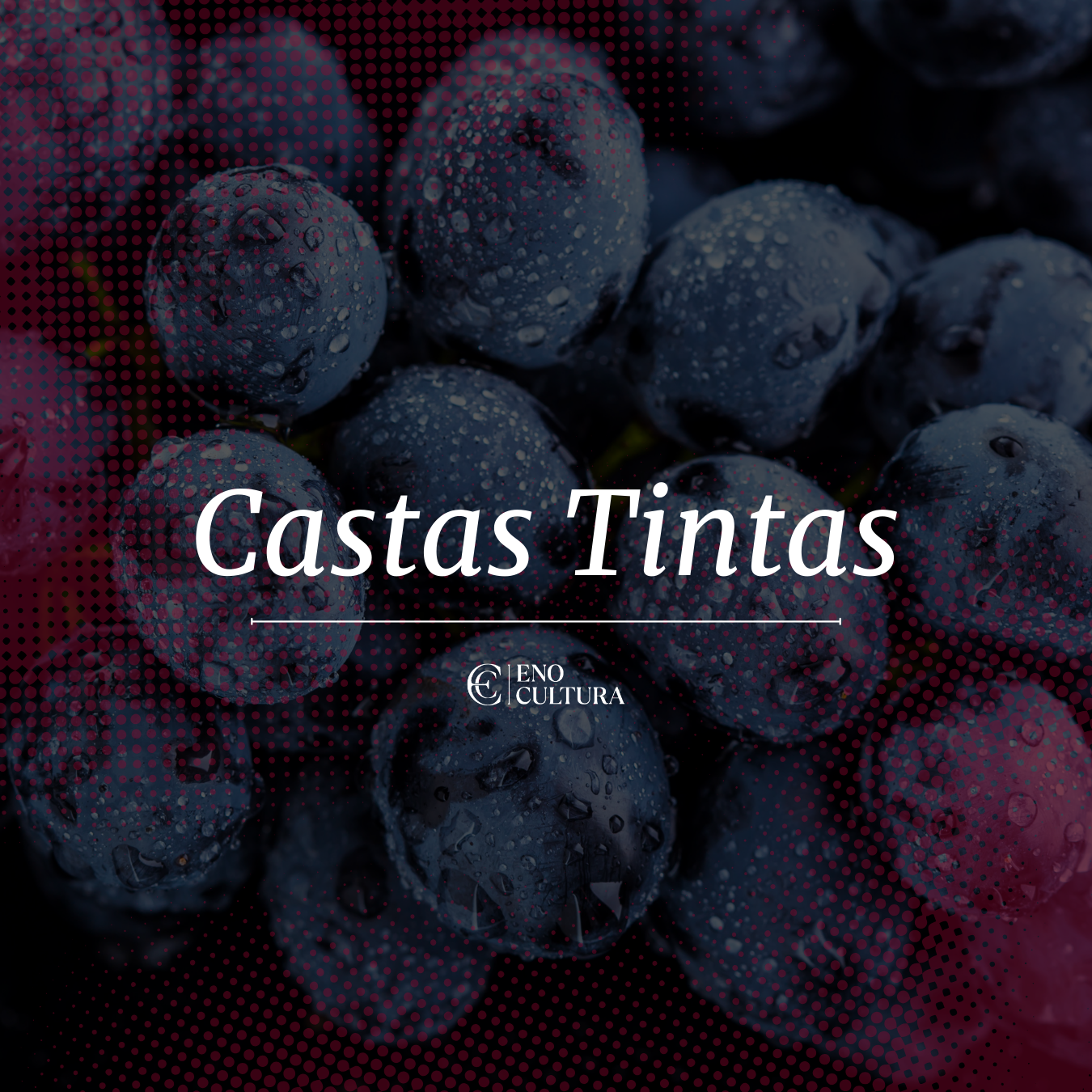 Castas Tintas | Curso Online