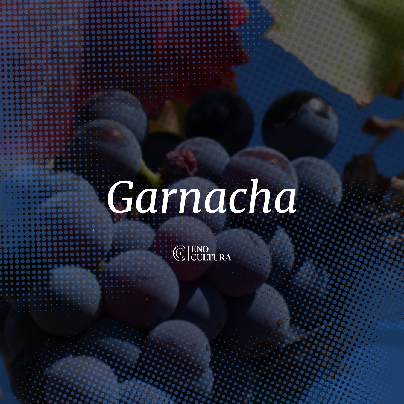 Garnacha | Curso Online