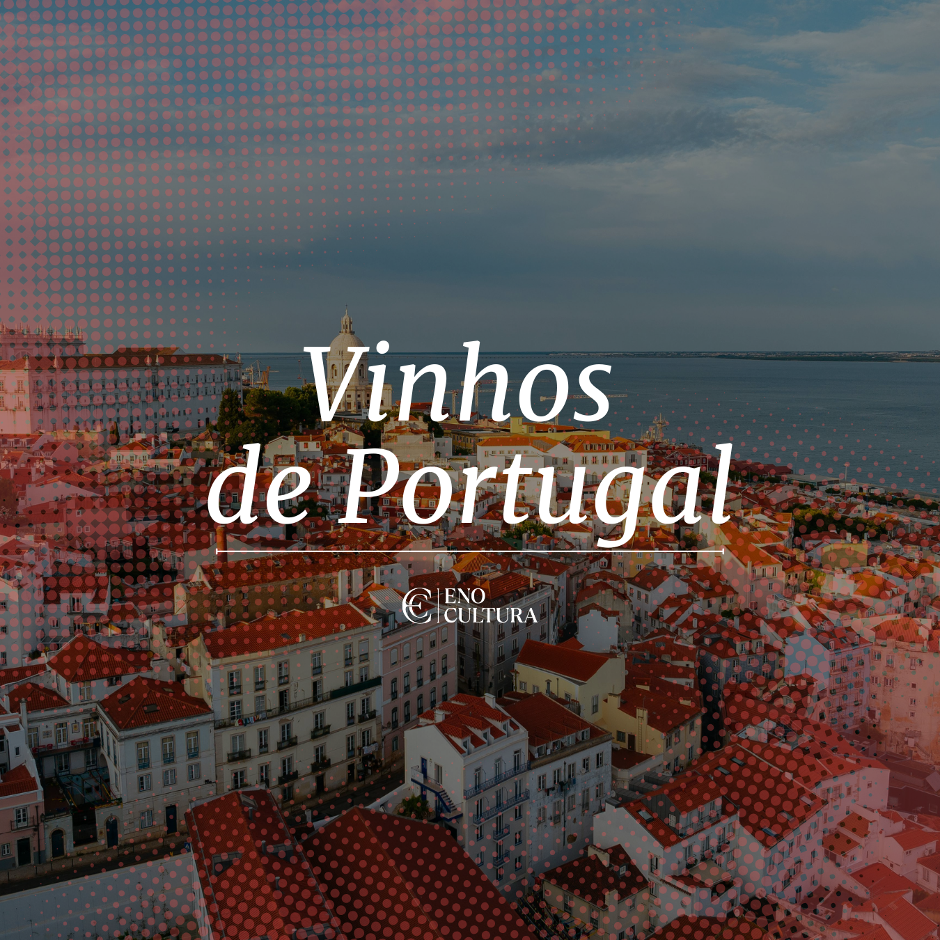 Vinhos de Portugal | Curso Online