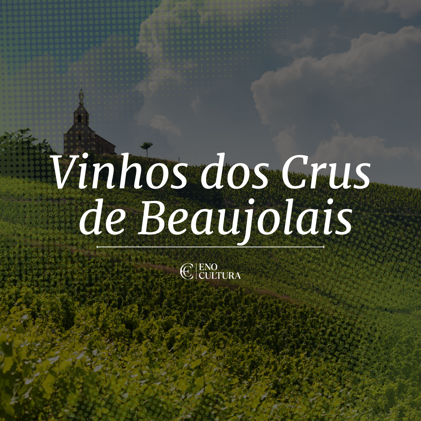 Vinhos dos Crus de Beaujolais | Curso Online