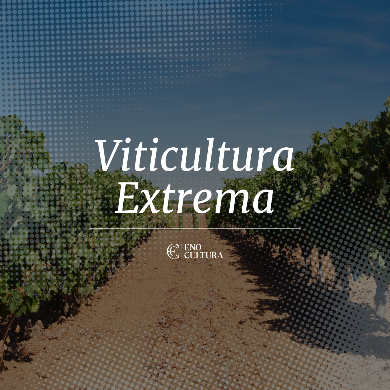 Viticultura Extrema | Cursos Online